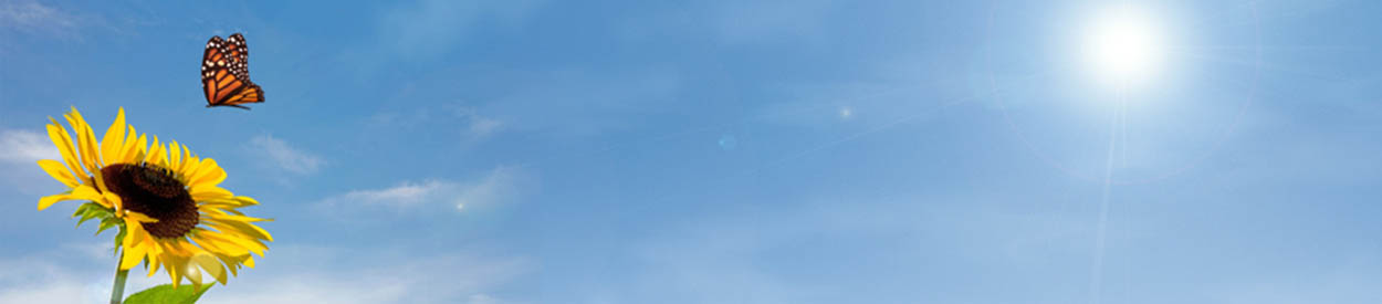 But Grow in Grace and in the knowledge of our Lord and Savior Jesus Christ