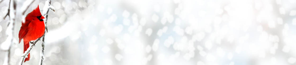 Learning together. Growing in faith. Building community