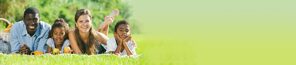 Untitled Header Image